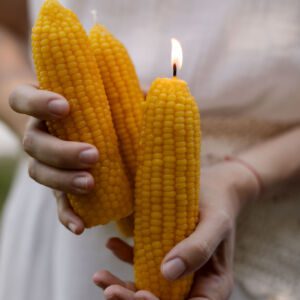 Свічка "Кукурудза"