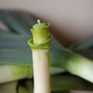 "Leek" candle